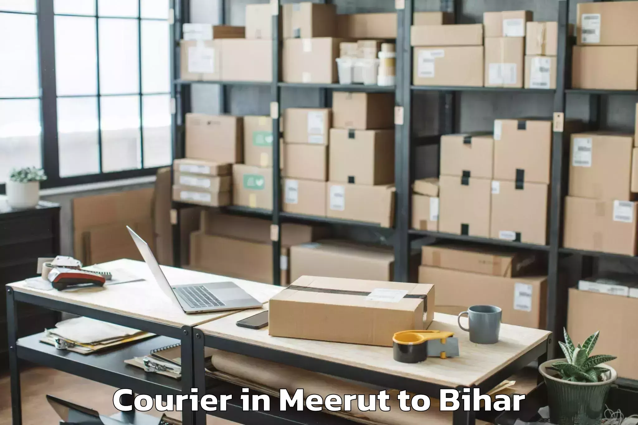 Affordable Meerut to Nasriganj Courier